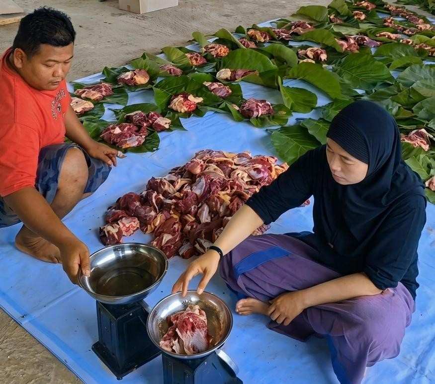 Merayakan Idul Adha 1447 H Tanpa Mewariskan Luka Bagi Bumi Ala SMK Models 2 sejumlah guru melakukan penakaran pada daging wurban
